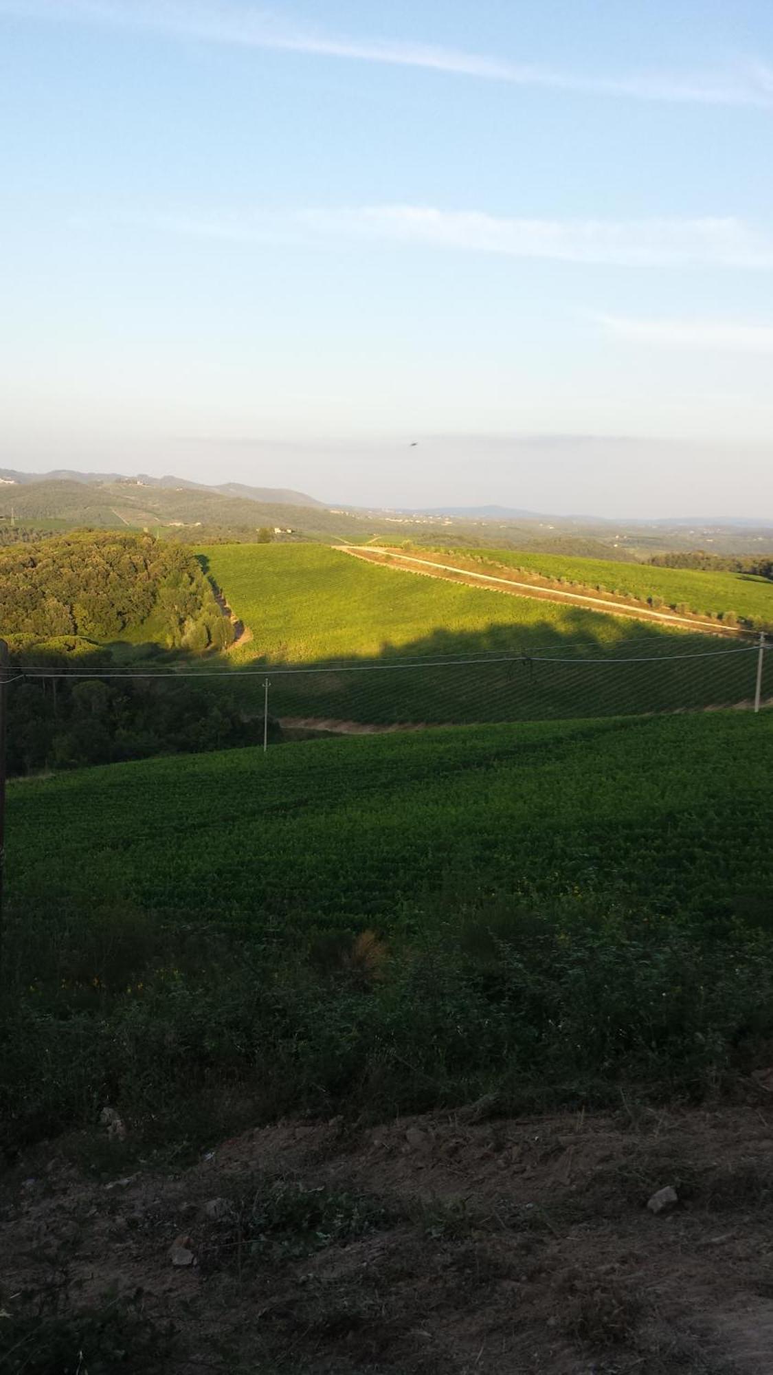 Borgo Carpineto Panzió Vagliagli Kültér fotó